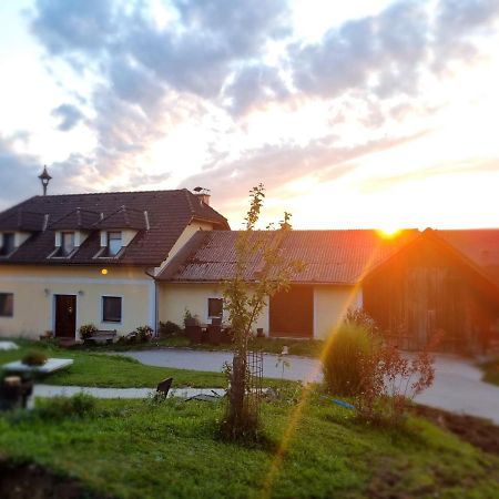 شقة Gruenbauerhof Wilhelmsburg المظهر الخارجي الصورة
