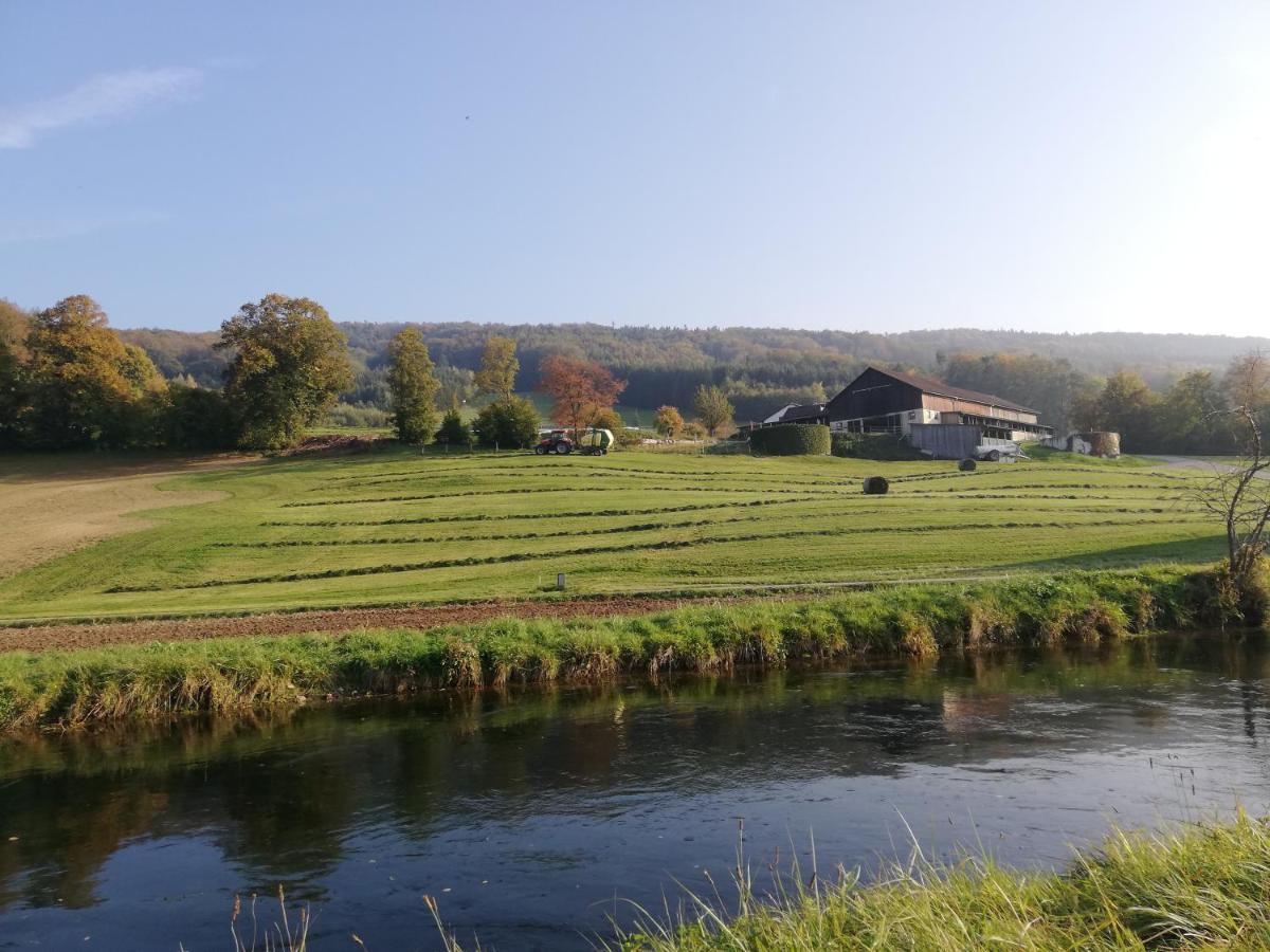 شقة Gruenbauerhof Wilhelmsburg المظهر الخارجي الصورة