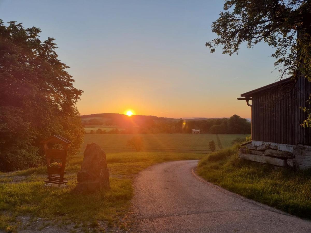 شقة Gruenbauerhof Wilhelmsburg المظهر الخارجي الصورة