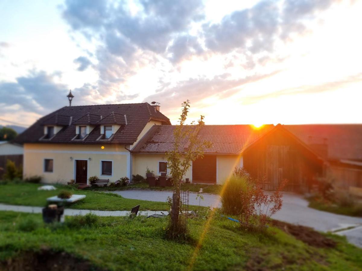 شقة Gruenbauerhof Wilhelmsburg المظهر الخارجي الصورة